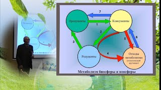 Функциональная Экология Экосистем