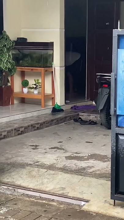 Ada biawak segede anak buaya masuk ke rumah part2 #Trending #viral #badut #bebek #hantu #games