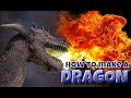 How to make a Dragon