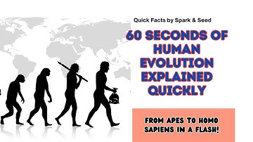 Human Evolutions in 60 Seconds