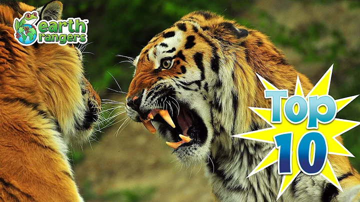 Top 10 Funny Halloween Animals 🎃 | Earth Rangers