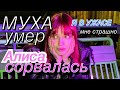 МУХА УМЕР и АЛИСА СОРВАЛАСЬ | как происходит срыв? 11 ФАЗ СРЫВА