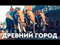 Вся Варкала в одном видео. Штат Керала. Храмовый фестиваль слонов / Индия #3