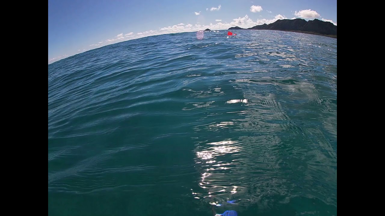 Diving the East side of Oahu