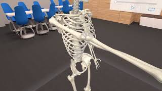 3D Organon VR Anatomy