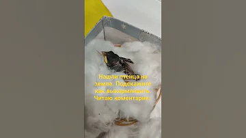 Помощь воробью. #птицы