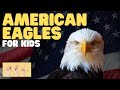 American Eagle Knowledge Assessment