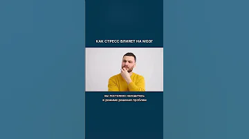 Как стресс влияет на мозг?