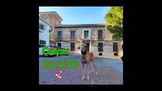 50/179 Corpa