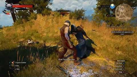 Witcher 3 : Dismantled