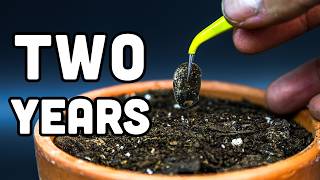 I Grew a Cactus from Seed for 2 Years (Time-Lapse)