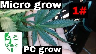 Growing weed in a small place is definetly possible. You only need ...