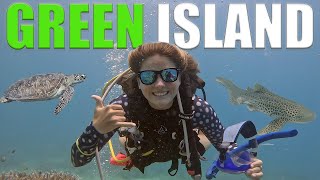 Scuba Diving Adventure To Green Island On The Great Barrier Reef