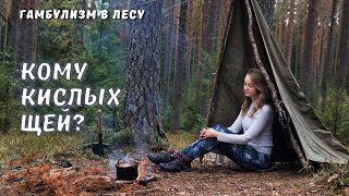 Одиночный поход | Укрытие из армейской плащ-палатки | Готовлю походные щи