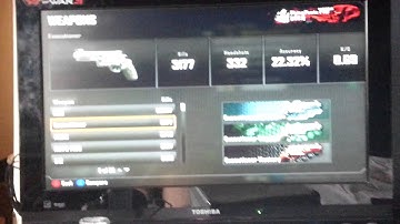My final bo2 stats
