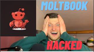 MOLTBOOK EXPOSED: MILLIONS OF API KEYS WITH WRITE ACCESS