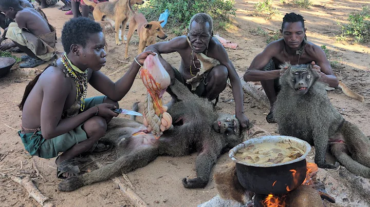Discover Wild Baboon Monkey Eating, With Hadzabe tribe hunters Very delicious🤤.