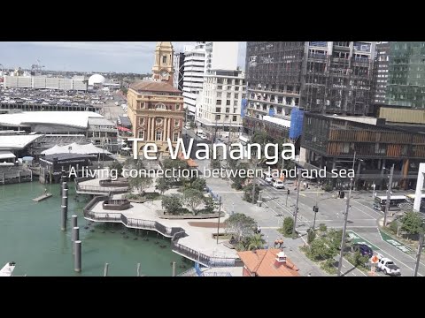 Te Wānanga - Connecting the land to the sea