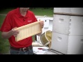How to Start Beekeeping: Building a Beehive How to Start Beekeeping: Building a Beehive