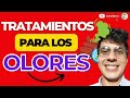 📢4 TRATAMIENTOS PARA ELIMINAR EL AMONIACO DEL GALPÓN DE POLLOS😎