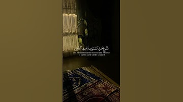 {الم يروا ان جعلنا الليل ليسكنوا فيه} القارئ ياسر الدوسري