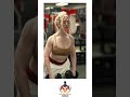 exercise girl 💪#exercise #sports #hulk #motivation #reels #beautiful #tranding #gym #reelschallenge