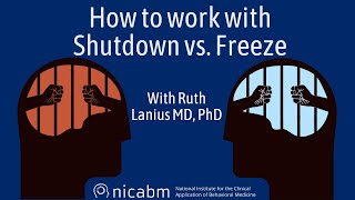 How to work with Shutdown vs. Freeze – with Ruth Lanius, MD, PhD