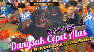 BABAK AKHIR ‼️ DANGSAK / CEPET ALAS JANTURAN TRI MANUNGGAL SARI