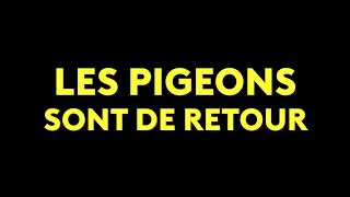 Les Pigeons sont de retour !