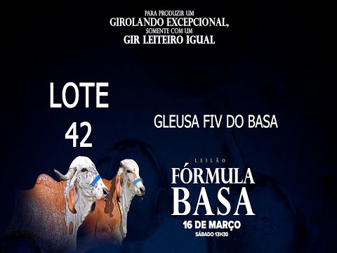 LOTE 42   BASA 2539