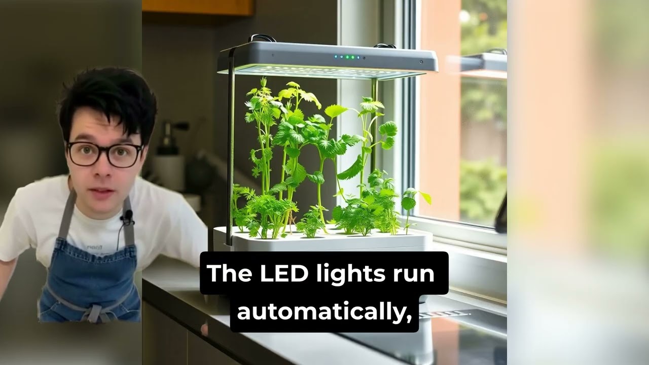 Indoor Garden Kit Makes Growing Fresh Herbs Easy