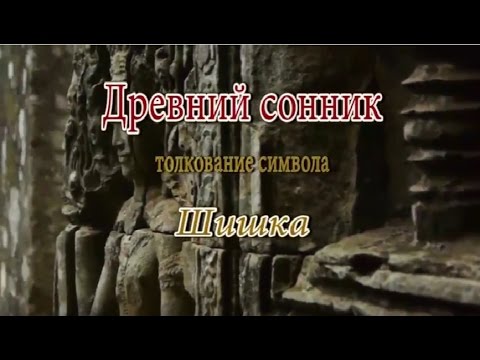 К чему снится Шишка сонник, толкование сна