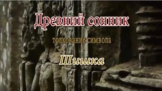 К чему снится Шишка сонник, толкование сна К чему снится Шишка сонник, толкование сна
