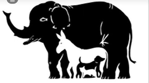 IQ - TEST .99% FAIL THIS ....