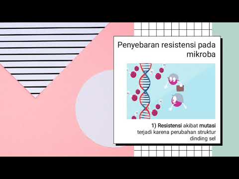 Video: Neanderthal Menggunakan Antibiotik Dan Aspirin - Pandangan Alternatif