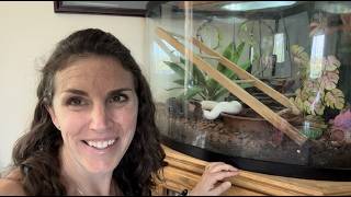 Why this is a great reptile starter kit! Our snake likes it screenshot 4