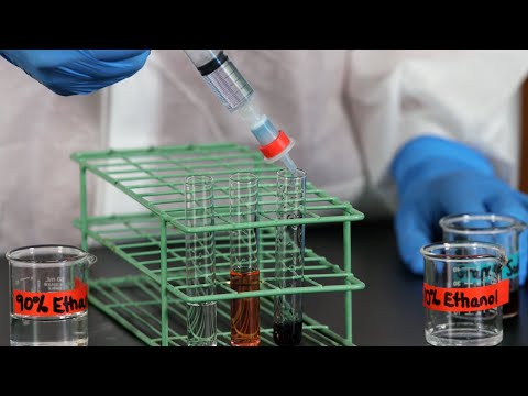 Видео: Column Chromatography Separation (Sep-Pak C-18)