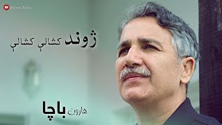 Haroon Bacha - Zhwand Kashaley Kashaley (New Pashto Song, 2020) | Nazm Music Video
