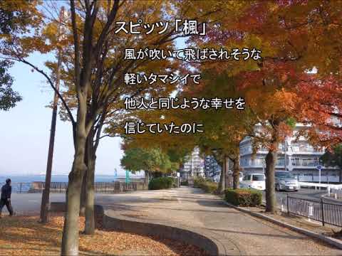 スピッツ「楓」自作カラオケ キー+3