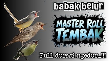 DAHSYAT !! MASTER BURUNG PILIHAN ROLL TEMBAK PALING DI SUKAI JURI‼️