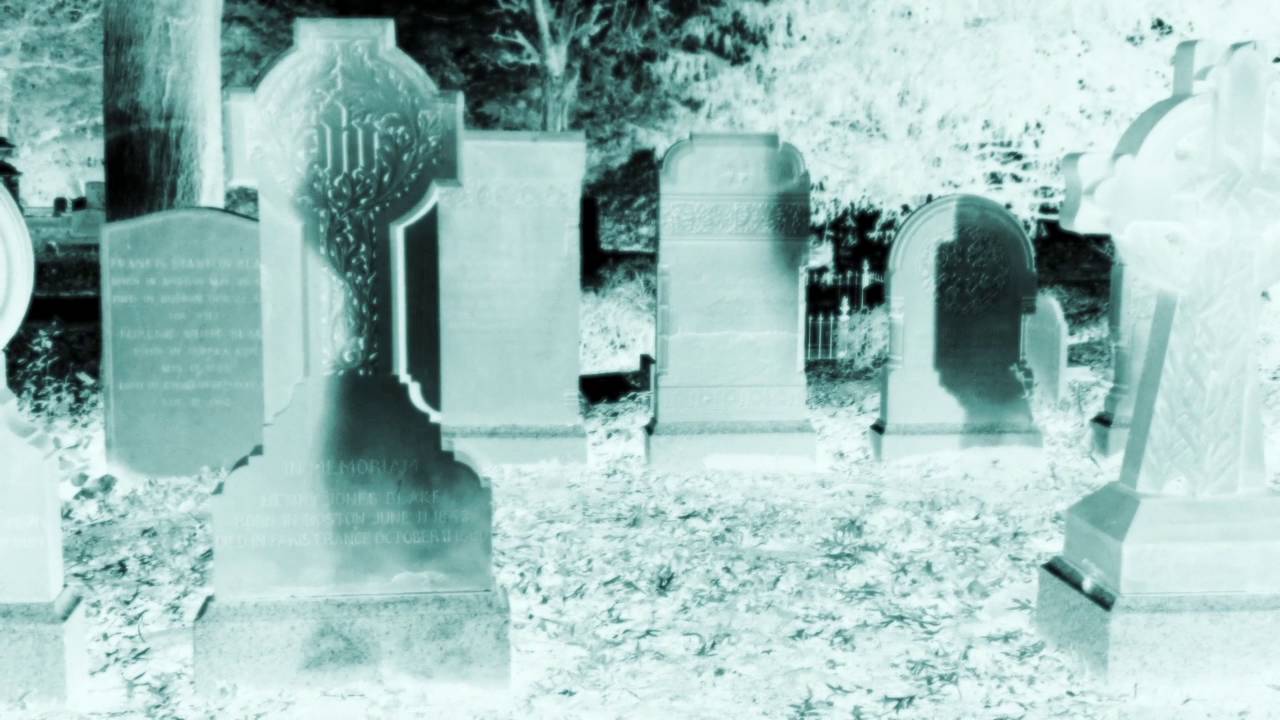 ⚡Shadow Spirit Dancestor⚡Sacred Cedar Shaker⚡Peace Coast⚡OptiMystic⚡