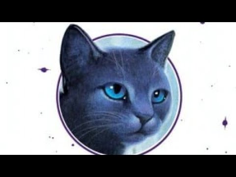 Video: Chipping Pisicile: Ce Este, Cum Se Face Procedura, La Ce Vârstă Este Efectuată, Avantajele și Dezavantajele Implantării Unui Chip într-un Animal