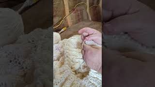 VID 20260928 134247196 5v8KK7uq mp4