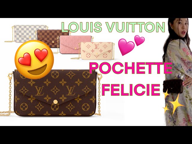 LOUIS VUITTON Pochette Felicie - Try On + 6 Year Wear and Tear