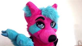 17K SUB SPECIAL!