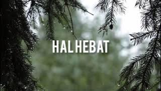 HAL HEBAT - COVER BY DINDA ALFA
