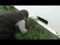 おばあちゃんの庭仕事！きれいに草起こし【92歳の団地一人暮らしの日常】