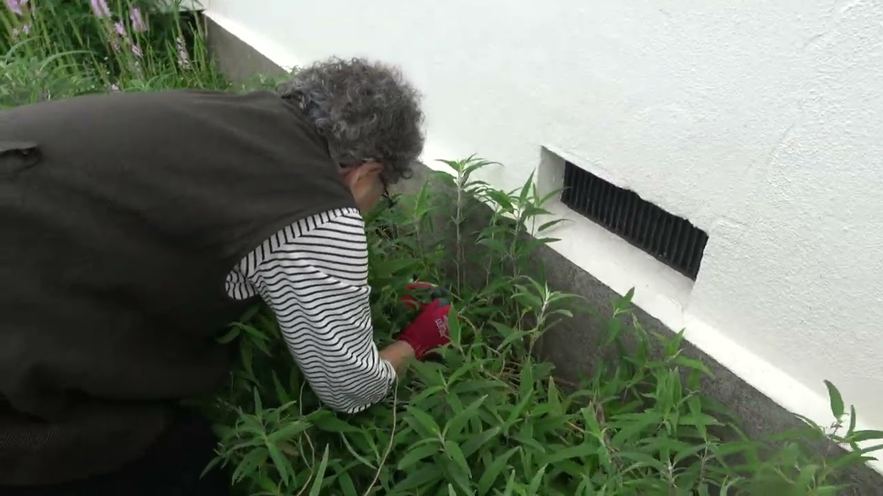 おばあちゃんの庭仕事！きれいに草起こし【92歳の団地一人暮らしの日常】