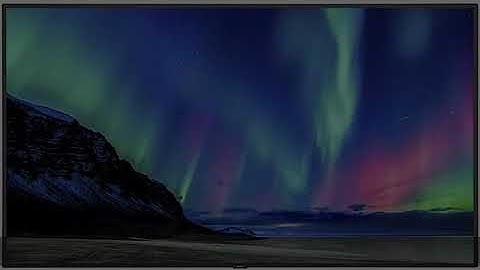 NEC - Display MultiSync C651Q Digital Signage Display - 65 LCD - 3840 X 2160 - Edge LED - 400 Nit -