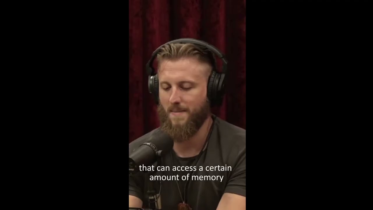 joe rogan podcast clip